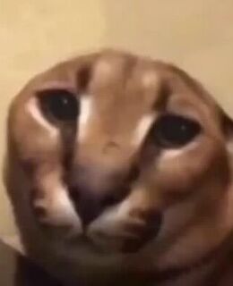 Вика Кузнецова