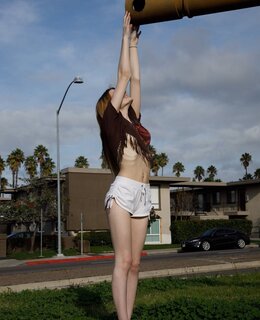 Sunlight — фото 6